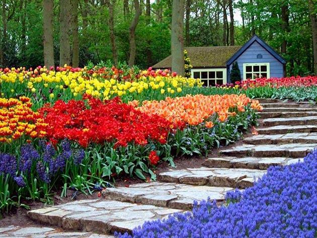 Top 10 Most Beautiful Blooming Gardens In The World 