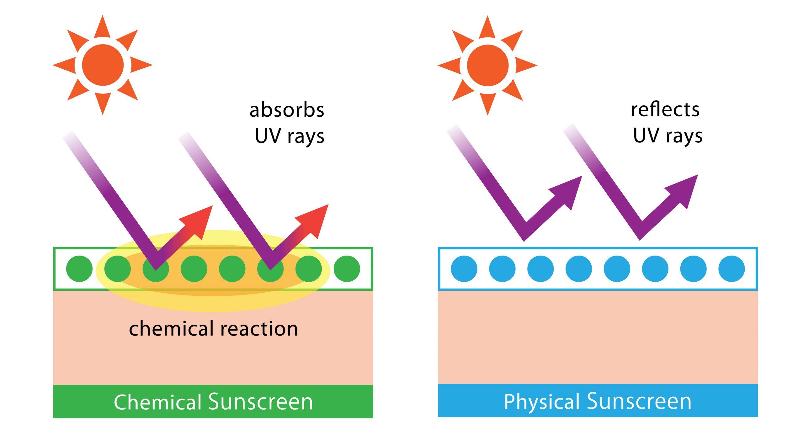 Infographic on chemical versus physical sunscreen