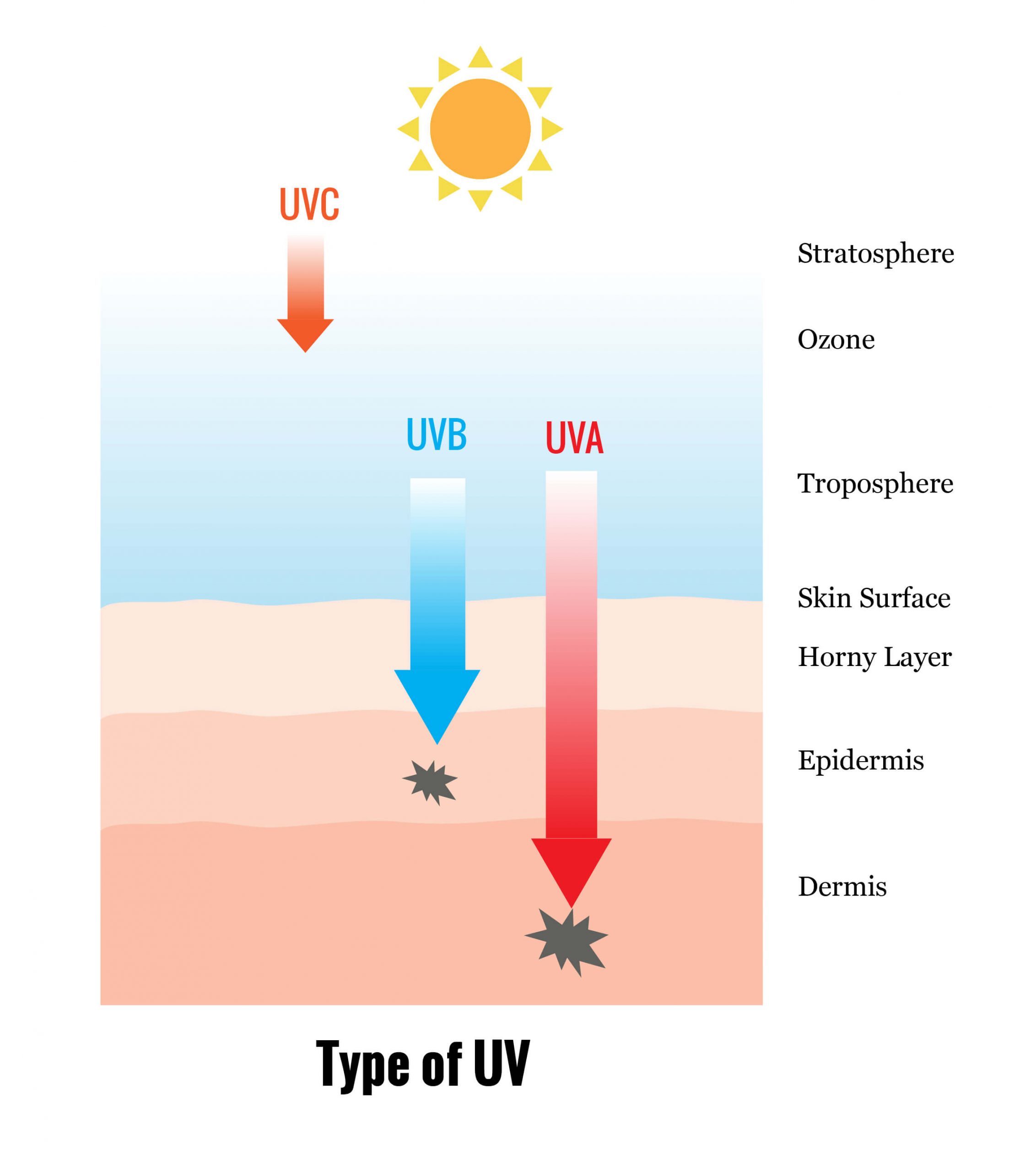 Infographic showing UVA, UVB and UVC rays