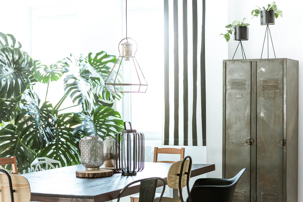 Dining room with house plants
