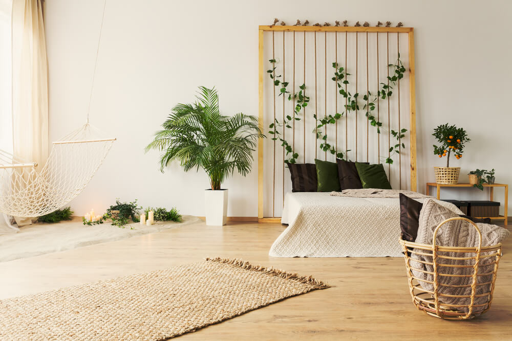 Minimalist bedroom with plants