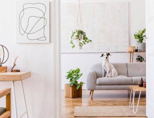 13 Ways to Make Your Home More Zen